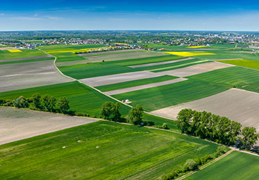 Home Młynska 8 Górki