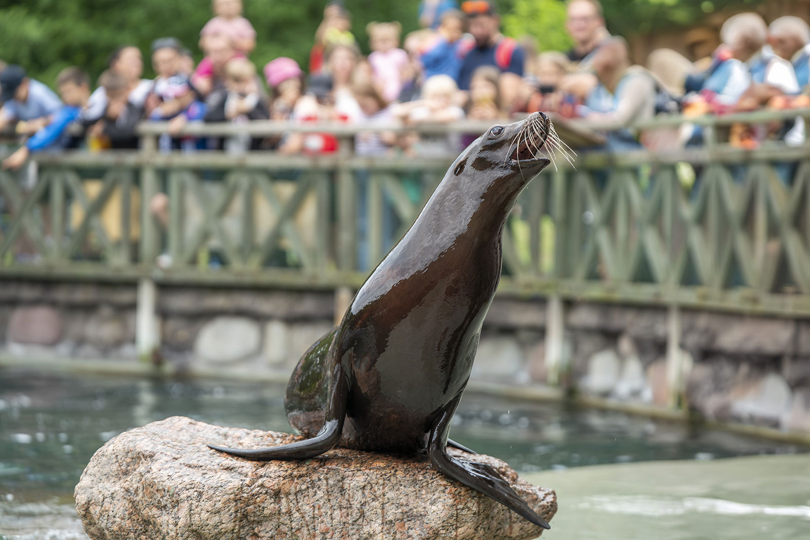 zoo opole